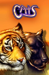 cats-free-slot-machine-no-download