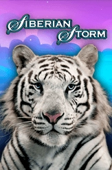 siberian-storm-slot-machine-to-play-free-no-download