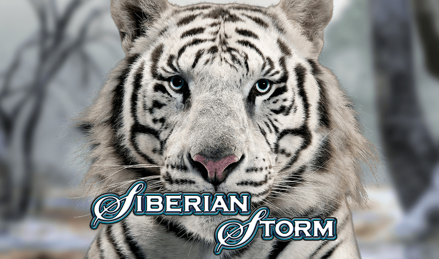 siberian-storm-slot-machine-to-play