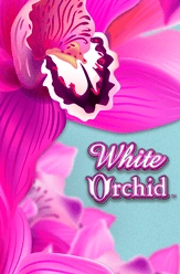 white-orchid-slot-machine-free-online-no-download