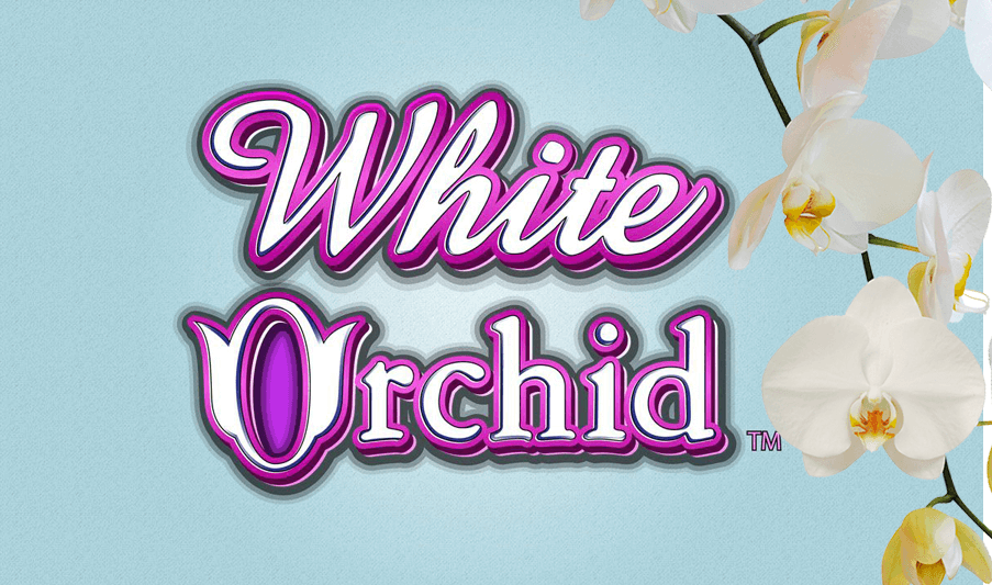 white-orchid-slot-machine-free-online