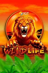 Wild Life