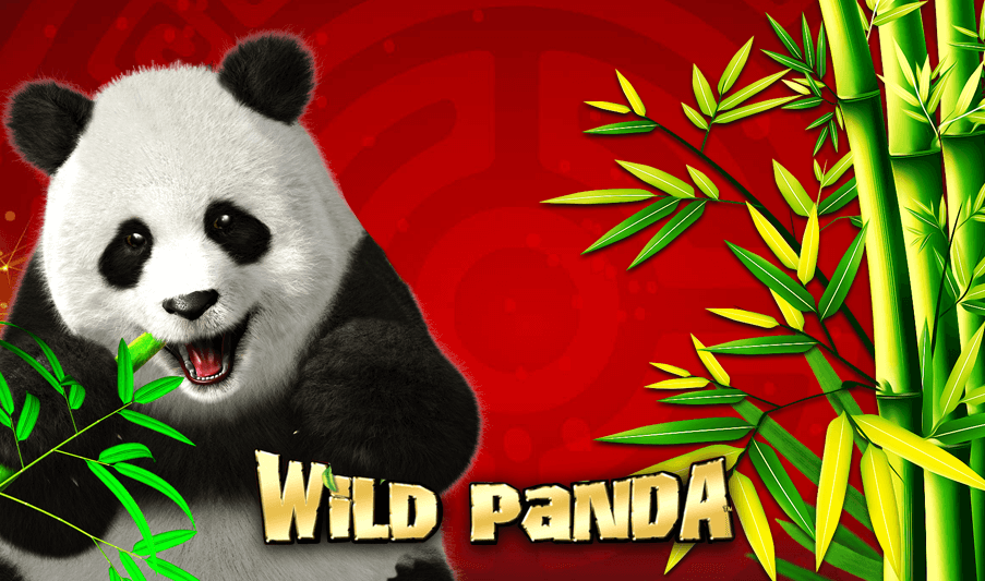 wild-panda-slot-machine-free