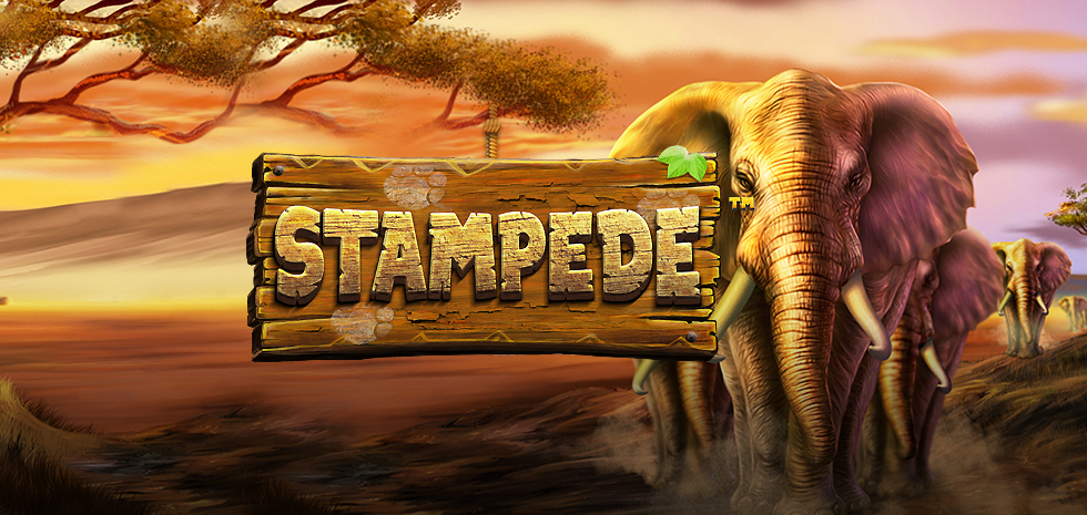 Stampede-slot-machine