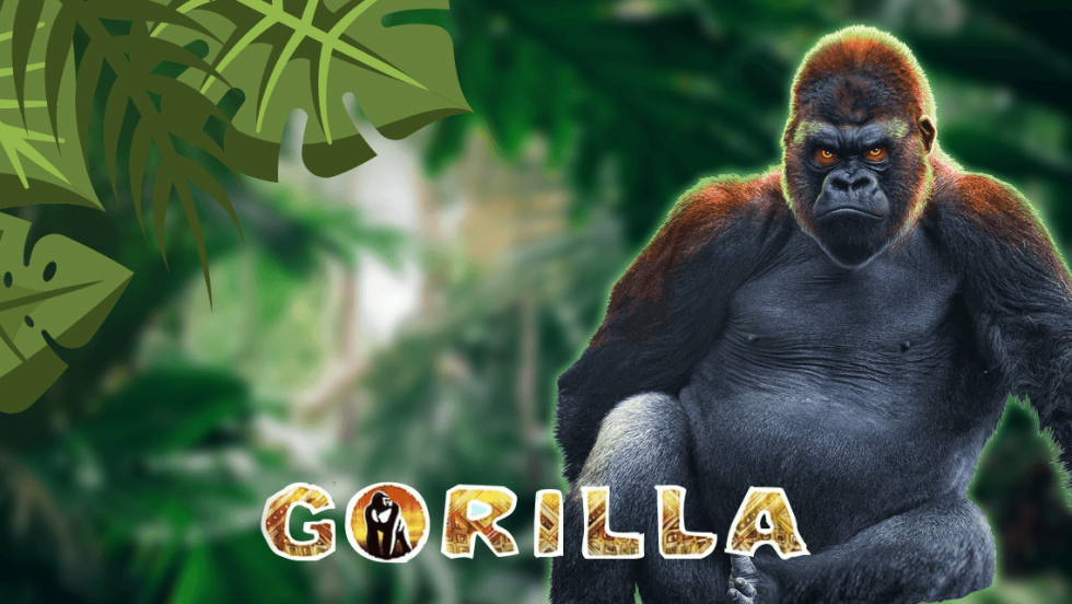 gorilla-slot-machine