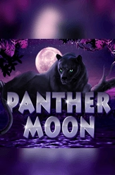 panther-moon-slot-game-online